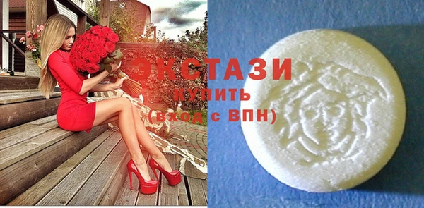 крисы Бородино