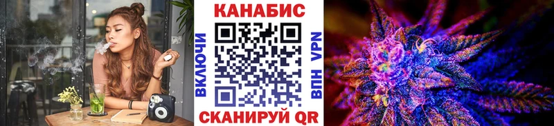 Каннабис OG Kush  Бологое 
