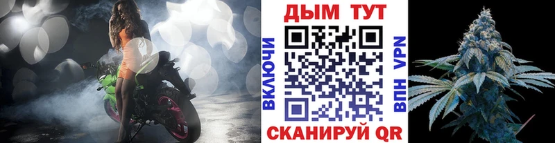Каннабис индика Бологое